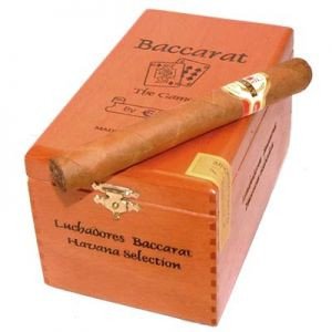 Baccarat Luchadore