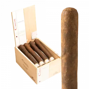 Cain by Oliva Robusto Maduro