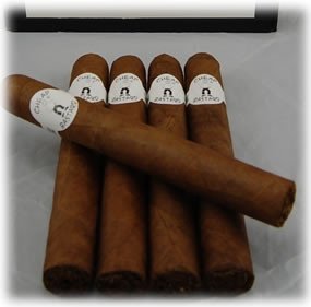 Cheap Bastard Robusto