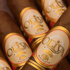 Flor de Oliva Robusto Gold