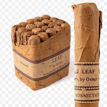 Leaf by Oscar Connecticut Gordo