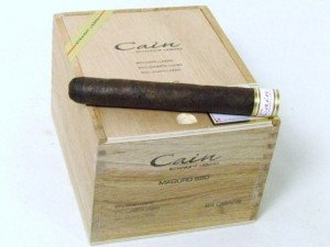 Cain by Oliva 550 Maduro