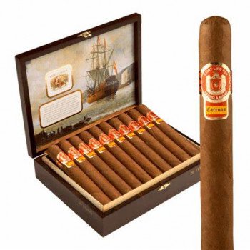 Saint Luis Rey Carenas Toro