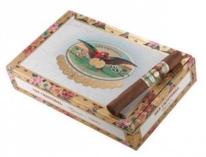 San Cristobal Elegancia Corona