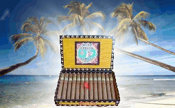 West Indies Vanilla Gran Carmella