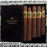 Ashton VSG Sampler