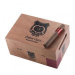 Asylum 13 Connecticut Robusto