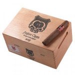 Asylum 13 Corojo Robusto
