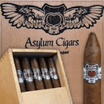 Asylum Torpedo