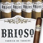 Brioso Toro