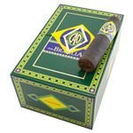 CAO Brazilia Corcovado