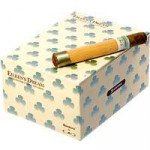 CAO Eileen's Dream Corona