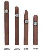 Cusano M1 Robusto