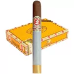 Fonseca by My Father Cosacos