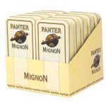 Panter Mignon
