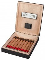 Pierre Cardin Ramos Small Humidor