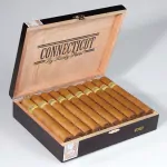 Rocky Patel Connecticut Robusto