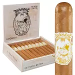 Room 101 Miami Snow Toro