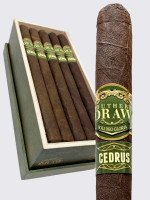 Southern Draw Cedrus Lancero