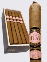Southern Draw Rose Of Sharon Lancero